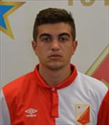 알렉산다르 Mesarovic